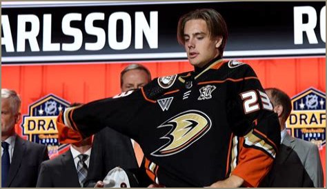 Ducks' Draft Strategy: Rebuild or Reload for a Playoff Push?