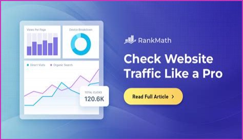The Ultimate Guide To Check Website Traffic And Ranking
